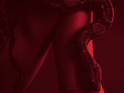 A MEDICINA DA SERPENTE: 