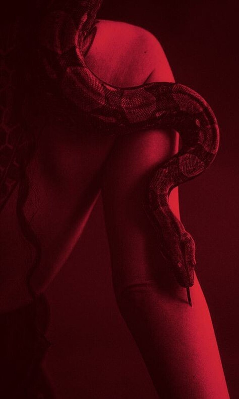 A MEDICINA DA SERPENTE: 