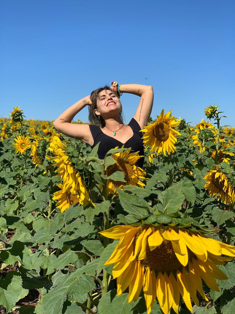 A Sabedoria dos Girassóis: A Arte de Florescer na Solitude, na Liberdade e no Amor Essencial
