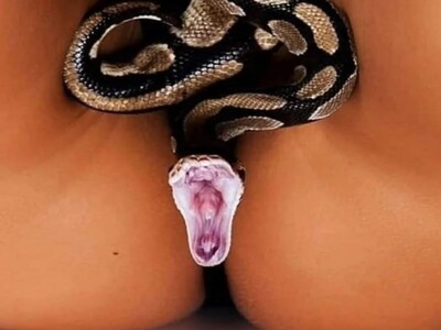 A Serpente e o Prazer da Mulher
