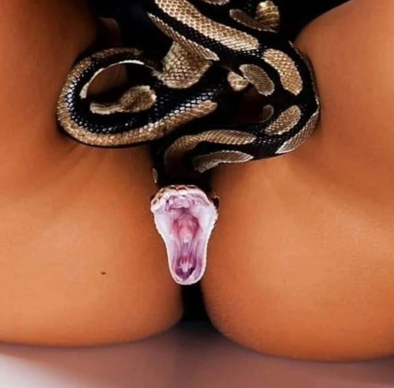 A Serpente e o Prazer da Mulher