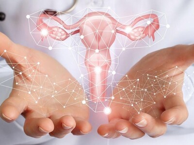 Respiração Ovariana: