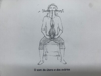 O SOM DO ÚTERO E DOS OVÁRIOS: