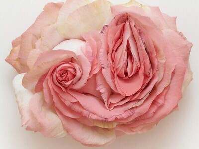 O Corpo Como Oráculo: