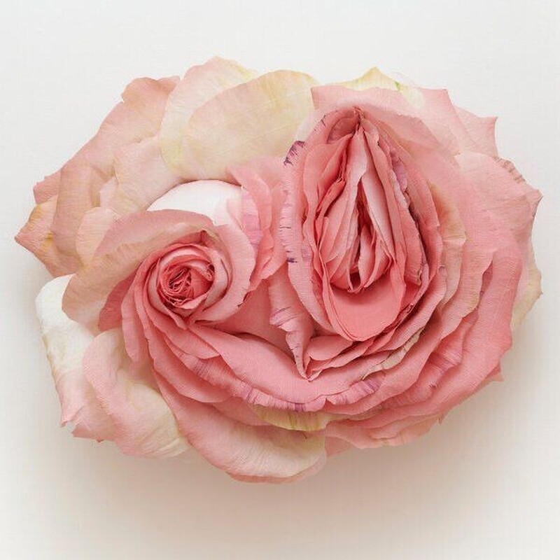 O Corpo Como Oráculo: